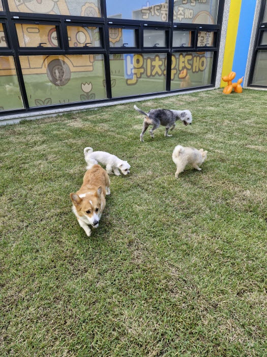 12fad12024cbfd7946002e534b3e347d_1762324750_3328.jpg 12fad12024cbfd7946002e534b3e347d_1762324