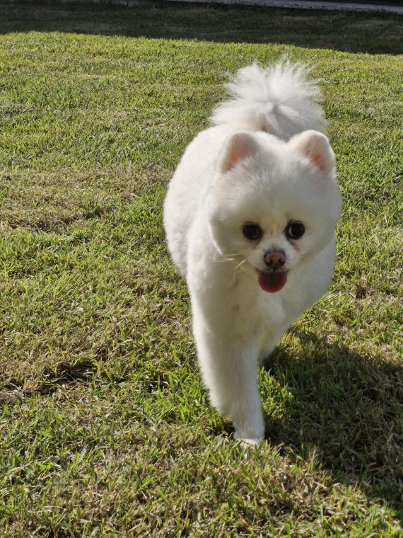 12fad12024cbfd7946002e534b3e347d_1762327