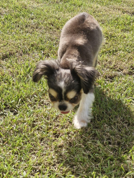 12fad12024cbfd7946002e534b3e347d_1762327