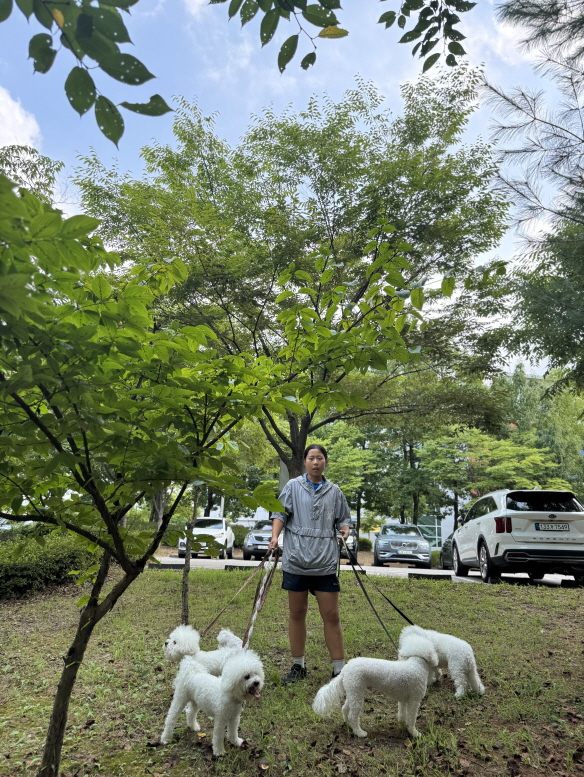 12fad12024cbfd7946002e534b3e347d_1762327