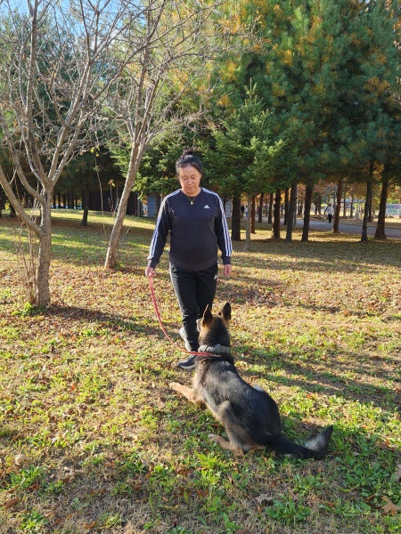 12fad12024cbfd7946002e534b3e347d_1762327577_5971.jpg 12fad12024cbfd7946002e534b3e347d_1762327