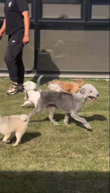 12fad12024cbfd7946002e534b3e347d_1762327