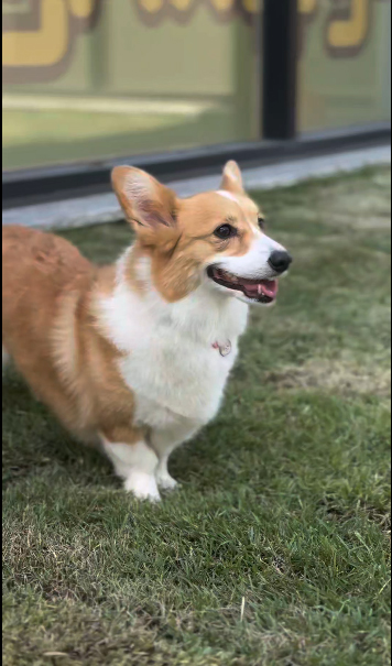 12fad12024cbfd7946002e534b3e347d_1762327