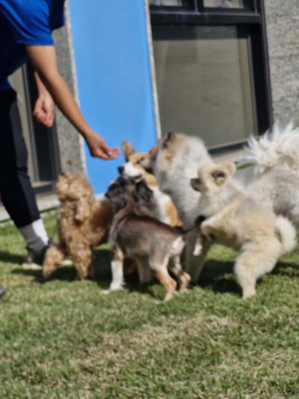 12fad12024cbfd7946002e534b3e347d_1762327