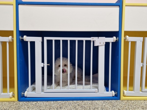 12fad12024cbfd7946002e534b3e347d_1762327 12fad12024cbfd7946002e534b3e347d_1762327