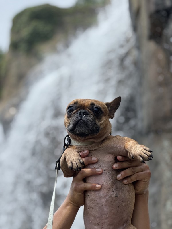 12fad12024cbfd7946002e534b3e347d_1762327