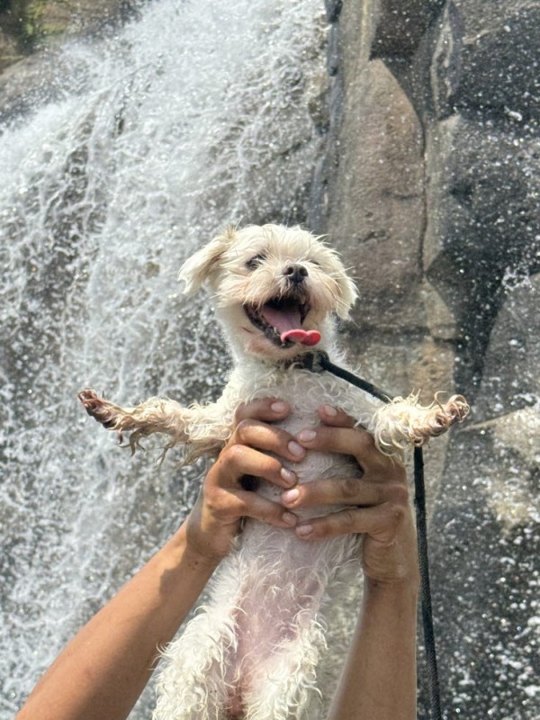 12fad12024cbfd7946002e534b3e347d_1762327