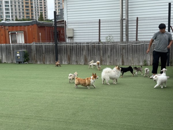 12fad12024cbfd7946002e534b3e347d_1762327