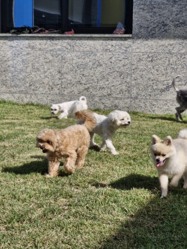 12fad12024cbfd7946002e534b3e347d_1762327