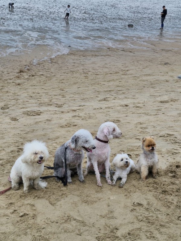 12fad12024cbfd7946002e534b3e347d_1762327 12fad12024cbfd7946002e534b3e347d_1762327