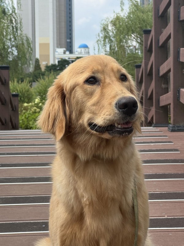 12fad12024cbfd7946002e534b3e347d_1762327 12fad12024cbfd7946002e534b3e347d_1762327