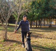 반려견유치원 인천, 서구 애견호텔 운영
