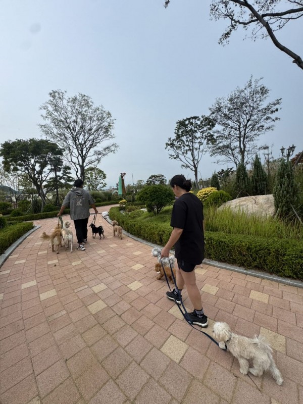 12fad12024cbfd7946002e534b3e347d_1762327 12fad12024cbfd7946002e534b3e347d_1762327