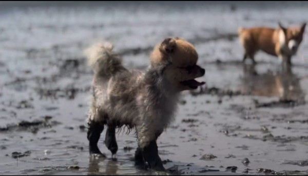 12fad12024cbfd7946002e534b3e347d_1762327