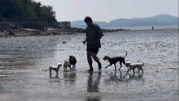 12fad12024cbfd7946002e534b3e347d_1762327